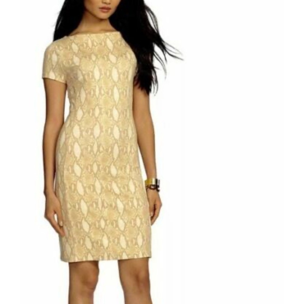 Ralph Lauren sz M Womens Snake Print Boat Neck Shift Dress Pullover Animal Print